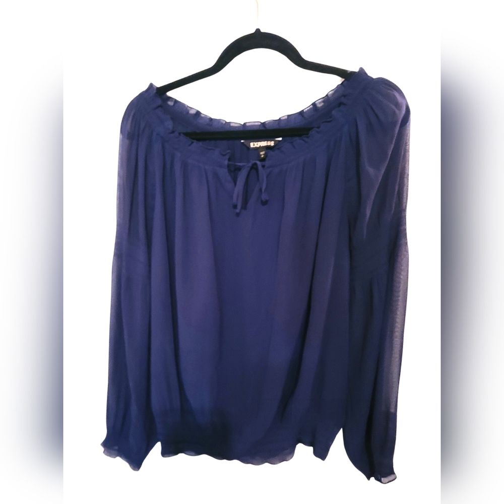 Express Blue Tie Front Relaxed Blouse
